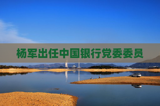 杨军出任中国银行党委委员