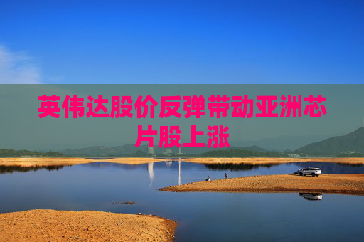 英伟达股价反弹带动亚洲芯片股上涨