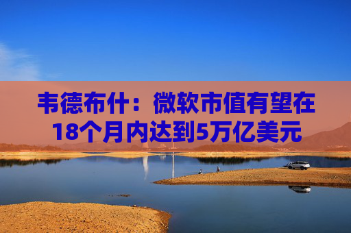 韦德布什：微软市值有望在18个月内达到5万亿美元