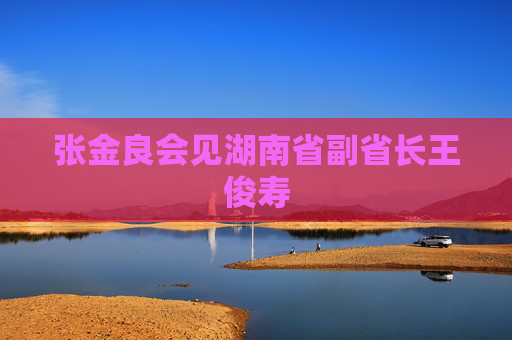 张金良会见湖南省副省长王俊寿