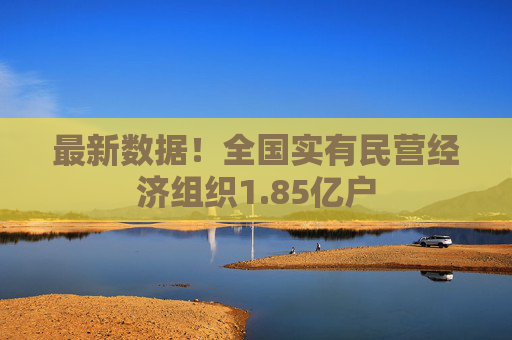 最新数据！全国实有民营经济组织1.85亿户