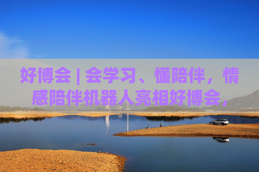 好博会 | 会学习、懂陪伴，情感陪伴机器人亮相好博会，大模型加持越用越懂你！