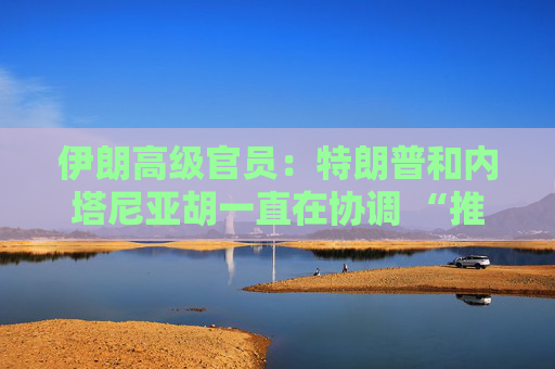 伊朗高级官员：特朗普和内塔尼亚胡一直在协调 “推进共同计划”