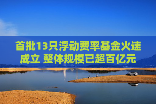 首批13只浮动费率基金火速成立 整体规模已超百亿元