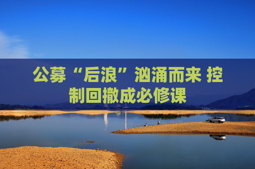 公募“后浪”汹涌而来 控制回撤成必修课