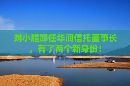 刘小腊卸任华润信托董事长，有了两个新身份！