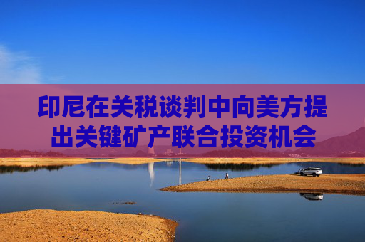 印尼在关税谈判中向美方提出关键矿产联合投资机会