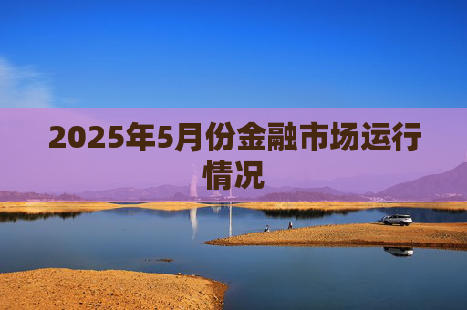 2025年5月份金融市场运行情况