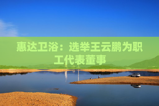 惠达卫浴：选举王云鹏为职工代表董事
