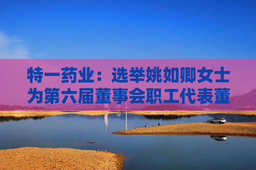 特一药业：选举姚如卿女士为第六届董事会职工代表董事
