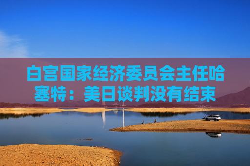白宫国家经济委员会主任哈塞特：美日谈判没有结束