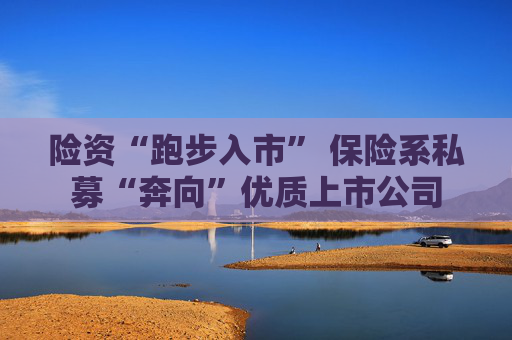 险资“跑步入市” 保险系私募“奔向”优质上市公司