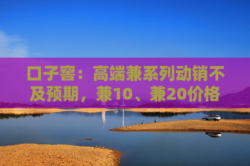 口子窖：高端兼系列动销不及预期，兼10、兼20价格略低于指导价格