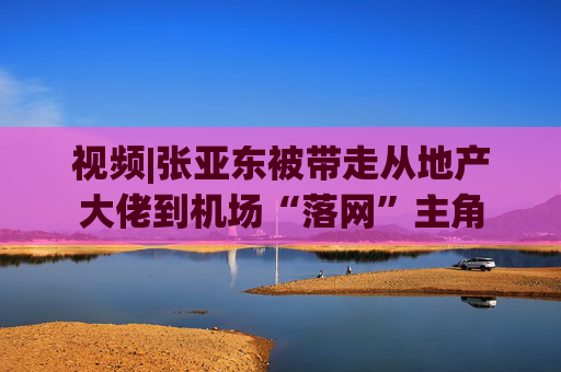 视频|张亚东被带走从地产大佬到机场“落网”主角