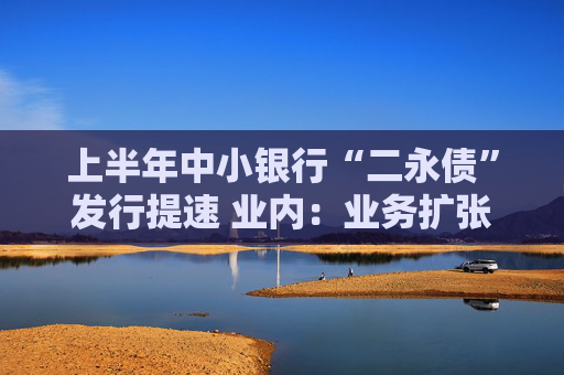 上半年中小银行“二永债”发行提速 业内：业务扩张需求促使其积极补充资本