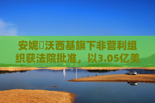 安妮・沃西基旗下非营利组织获法院批准，以3.05亿美元收购23andMe