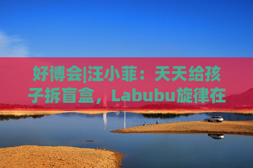 好博会|汪小菲：天天给孩子拆盲盒，Labubu旋律在脑子里翻来翻去