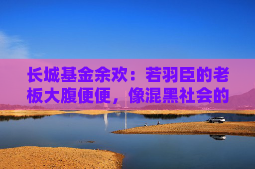 长城基金余欢：若羽臣的老板大腹便便，像混黑社会的