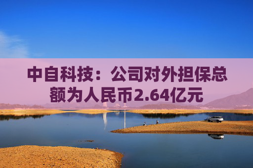 中自科技：公司对外担保总额为人民币2.64亿元