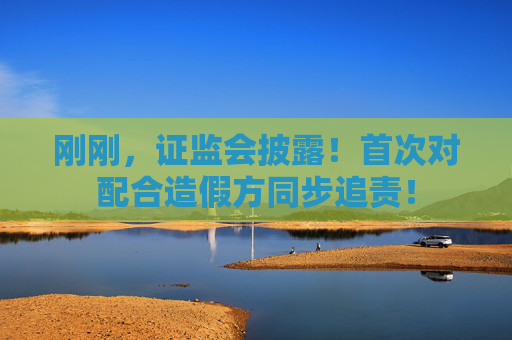 刚刚，证监会披露！首次对配合造假方同步追责！