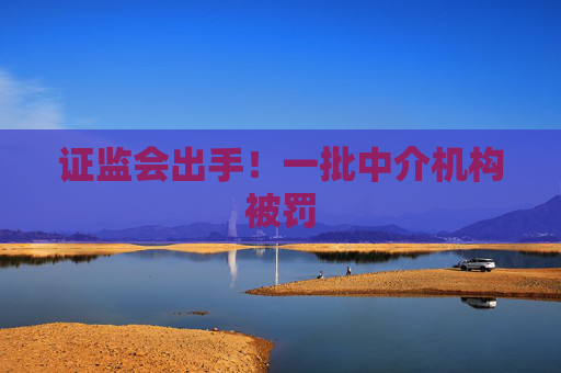 证监会出手！一批中介机构被罚
