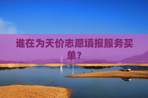 谁在为天价志愿填报服务买单？