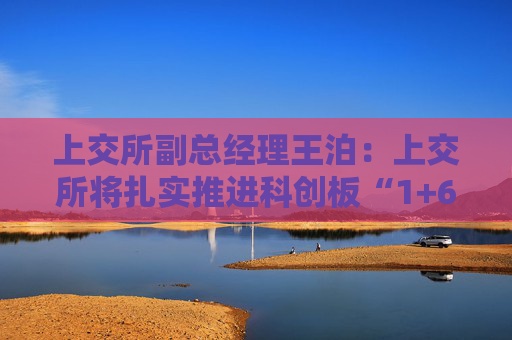 上交所副总经理王泊：上交所将扎实推进科创板“1+6”改革举措和示范案例落实落地