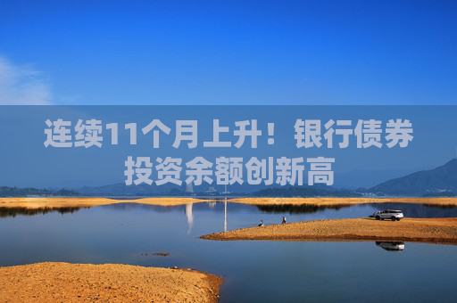 连续11个月上升！银行债券投资余额创新高