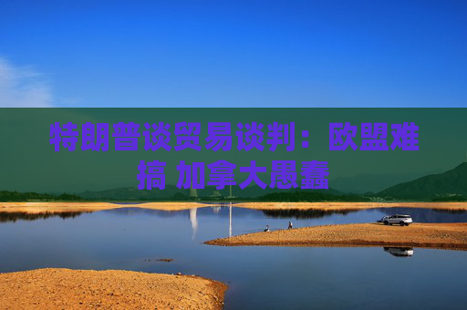 特朗普谈贸易谈判：欧盟难搞 加拿大愚蠢