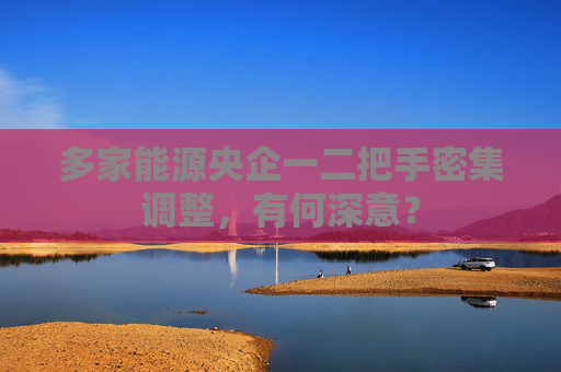 多家能源央企一二把手密集调整，有何深意？