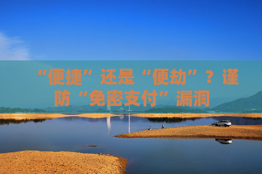 “便捷”还是“便劫”？谨防“免密支付”漏洞