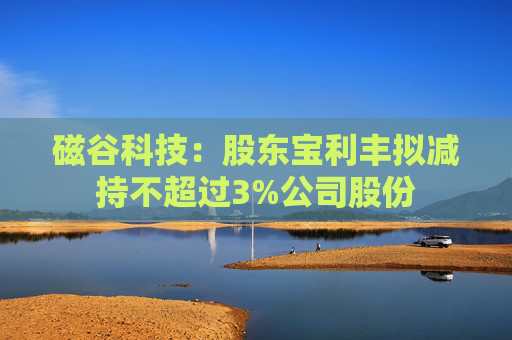 磁谷科技：股东宝利丰拟减持不超过3%公司股份
