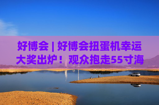 好博会 | 好博会扭蛋机幸运大奖出炉！观众抱走55寸海信电视
