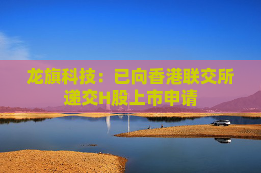 龙旗科技：已向香港联交所递交H股上市申请