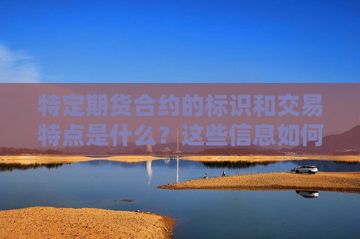 特定期货合约的标识和交易特点是什么？这些信息如何帮助投资者参与市场？