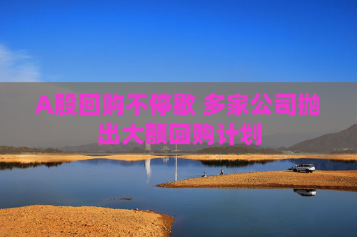 A股回购不停歇 多家公司抛出大额回购计划