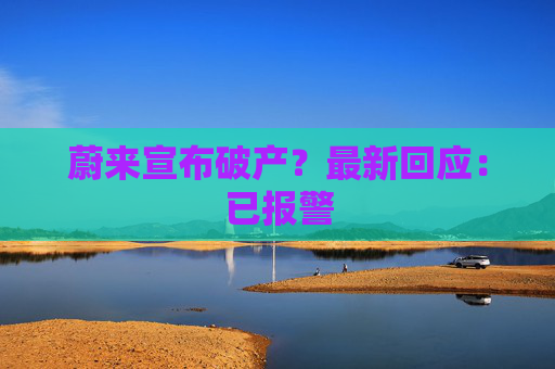 蔚来宣布破产？最新回应：已报警