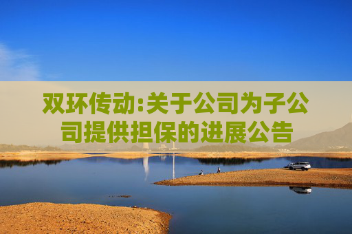 双环传动:关于公司为子公司提供担保的进展公告