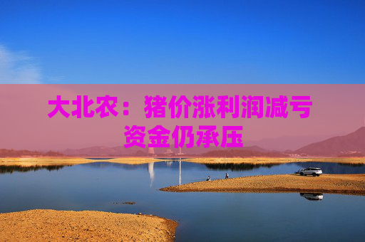 大北农：猪价涨利润减亏 资金仍承压