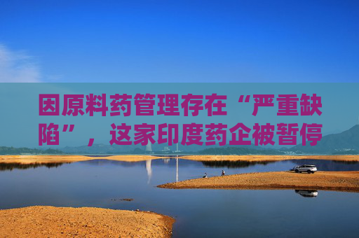因原料药管理存在“严重缺陷”，这家印度药企被暂停集采资格