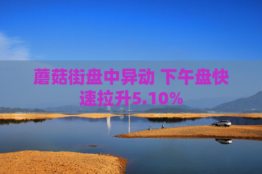 蘑菇街盘中异动 下午盘快速拉升5.10%