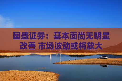 国盛证券：基本面尚无明显改善 市场波动或将放大