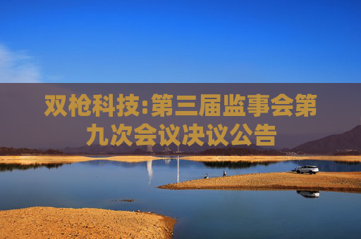双枪科技:第三届监事会第九次会议决议公告