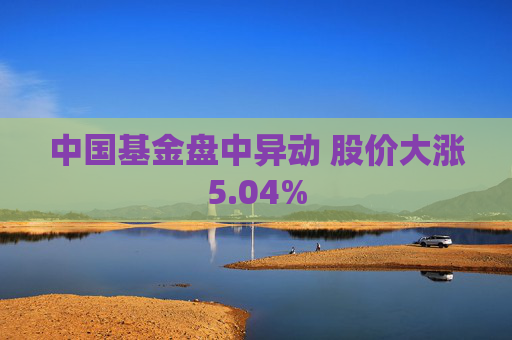 中国基金盘中异动 股价大涨5.04%