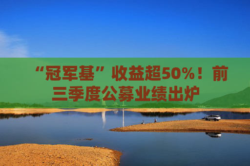 “冠军基”收益超50%！前三季度公募业绩出炉