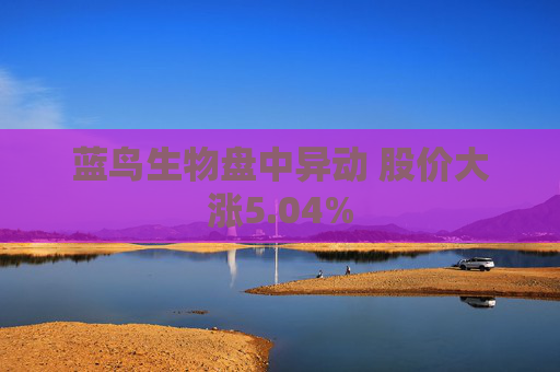 蓝鸟生物盘中异动 股价大涨5.04%
