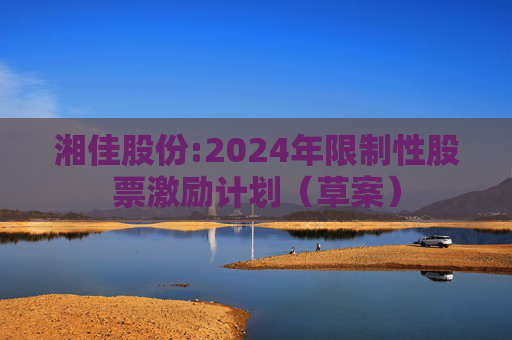 湘佳股份:2024年限制性股票激励计划（草案）