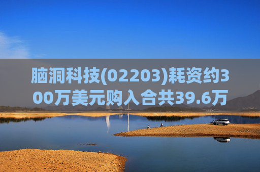 脑洞科技(02203)耗资约300万美元购入合共39.6万股Up Fintech股份
